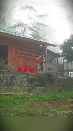 Harvesting Fresh Fruits in the Garden