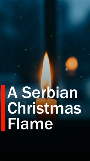 SerbiaActually on Instagram: "On Christmas Eve, early in the morning, Serbian men traditionally go into the forest to cut the badnjak—an oak branch, from a tree considered sacred among the Slavs. Read more on serbia-actually.com (Link in Bio) #serbia #christmastree🎄 #flame"