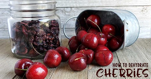 How to Dehydrate Cherries with a Dehydrator or Oven