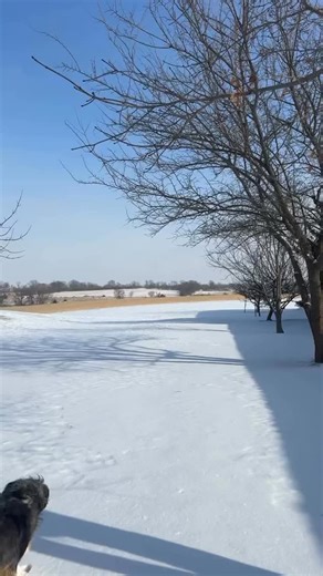 The forecast says 22°, but the fit says 32°! Link in bio to shop our fan-favorite Shield Tech Maxi Coat! 🎥 : @siripollnow | 32 Degrees