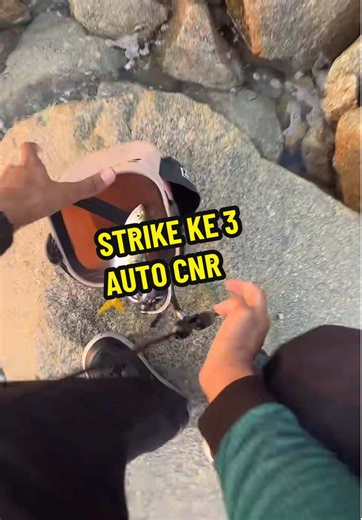 Strike ke 3 auto cnr 4/4/26 #poppertunda #fishing #bearking Reel @Pokmung Fishing Rod @Pokmung Fishing #livehighlights #tiktoklive