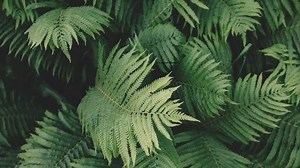 81K views · 1.8K reactions |  Nuevo Curso  Diseño Editorial: Maneja Adobe InDesign como un experto. 6 Horas de Video Clases Prácticas. Aprende a tu propio ritmo. Regístrate a este curso aquí --> https://goo.gl/wp2C8u | Diseño Latinoamerica | Facebook