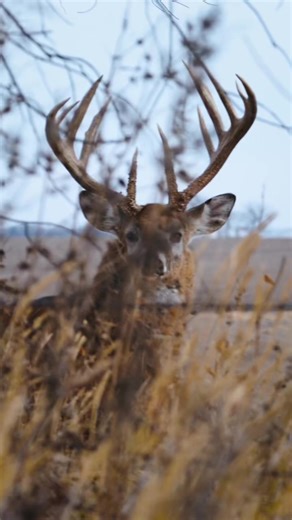 22K views · 487 reactions | Following a hunting season filled with the lowest of lows & the highest of highs, this reaction from Kaleb makes perfect sense. Find the episode now! #hunting #deerhunting #bowhunting #deerseason #RealTree #midwestwhitetail | Midwest Whitetail | Facebook