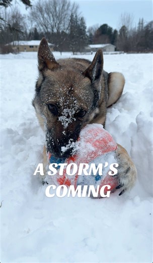 Can’t wait!