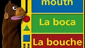 Baby Einstein 24 - Baby DaVinci - From Head To Toe (06mos)