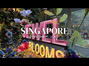 【vlog】3泊5日シンガポール旅行ついに完結！空港直結「Jewel」の絶景と帰国トラブル！？