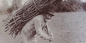 The Led Zeppelin News Email - 19/11/23