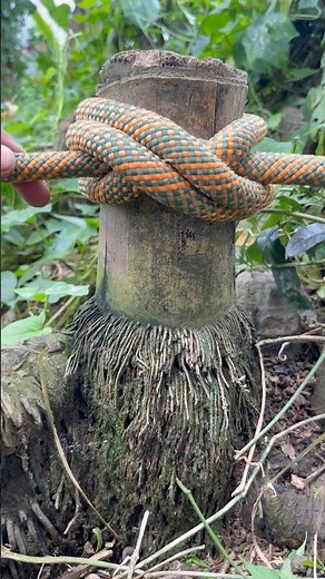 Awesome tutorial ✌️👍👌