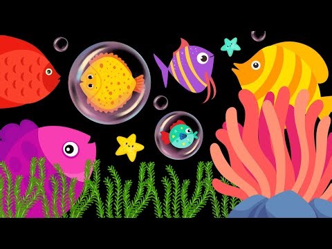 Baby Sensory Video - High Contrast - Sensory Videos for Babies - Visual Stimulation for Newborn