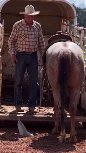 69K views · 1.4K reactions | Recognize the smallest change and reward it. Watch this trailer loading now at TheBuckChannel.com #buckbrannaman #thebuckchannel #horsemanship | The Buck Channel - Buck Brannaman Horsemanship | Facebook