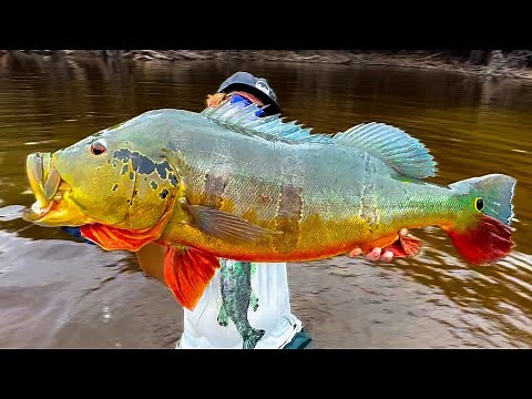 22 Pound MONSTER Peacock Bass || My Life is COMPLETE!