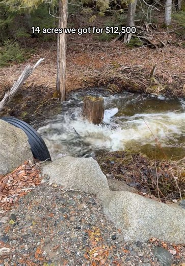 Building Our Dream Home: DIY Family Compound Journey