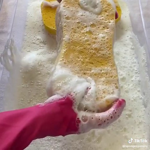 spongesyummy على TikTok