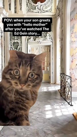 Hello mother 😁 | Matt Court