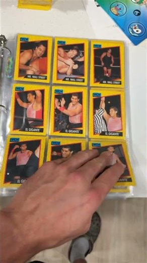 Full Complete Impel WCW 1991 collection! #wcw #wwe #zestofthebest #sportscards #collection