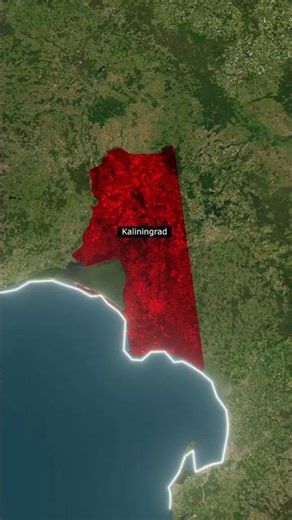 Russia’s Forest Where Trees Twist Themselves 😳🌲