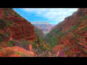 Grand Canyon Manzanita to North Kaibab Trailhead Hike/Run | Full Trail POV | 2024 R2R2R
