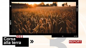 8.4K views · 747 reactions | Un vero e proprio accaparramento globale...