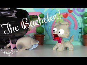 LPS: The Bachelor {Parody Skit}