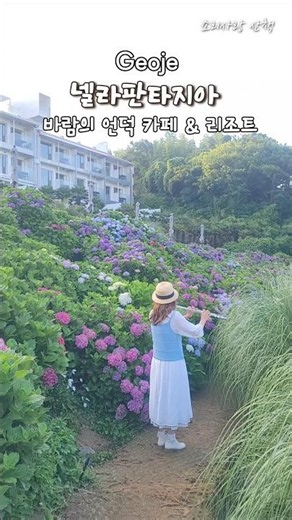 #플루트커버 #넬라판타지아 #파도소리 #거제도여행 #카페바람의언덕 #바람의언덕리조트 #거제도수국 #shorts