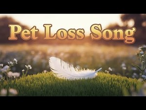 A Message From The Rainbow Bridge’ 🌈 | A Song for Healing After Pet Loss 🐾💔