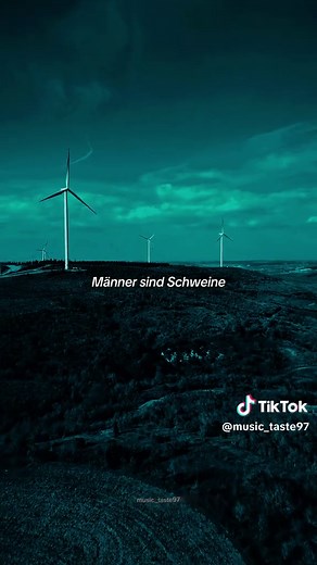 Männer sind Schweine💙🌸 #lyrics #lyricsvideo #fyp #dieärzte