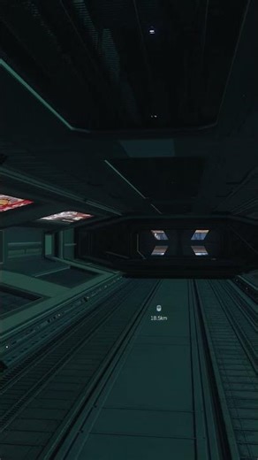 Do Not Wander The Docking Ports... | Star Citizen |