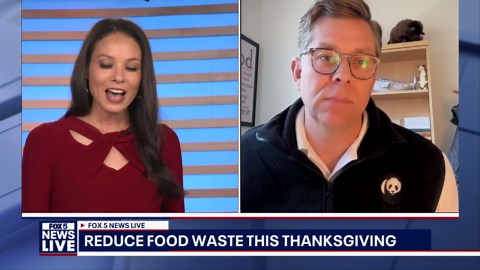 How to reduce food waste this Thanksgiving