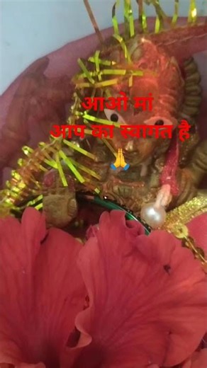 #नवरात्रि#स्पेशल#शॉर्ट्स#वीडियो#