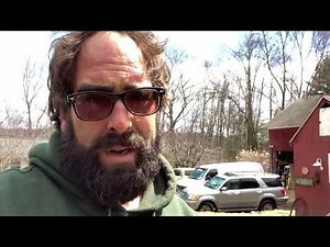 Weeping Larch Tree Pruning