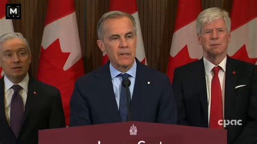 POWER OF A KING Why do you need this power? Too much show boating at committees, talking about CATS and DOGS It’s time to get serious. NO MORE DEBATE. Just POWER TO MOVE FORWARD without discussion. This is some scary stuff happening 🇨🇦👀