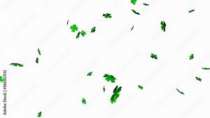 Four leaf clover - seamless looping, alpha channels and 4K