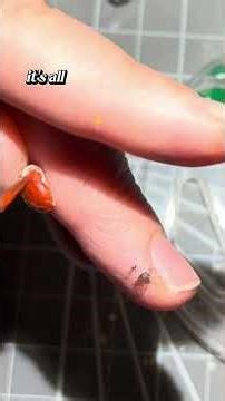 How to paint The ladybug turned out so realistic, and that little white mushroom