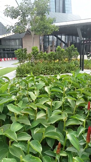 merdeka tower 118 kuala lumpur #kualalumpur