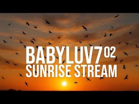 BSL MUSIC MIX AND DANCE