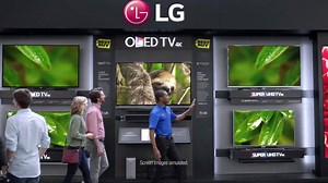 4.5M views · 1K reactions | Kick back, relax and enjoy the majestic sloth. | Best Buy | Facebook