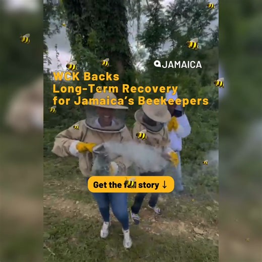 After Hurricane Melissa, the beekeeping community in Jamaica was severely affected. WCK teams saw how much these producers had lost and wanted to support them. First with short-term aid, then as part of long-term recovery efforts. We supplied producers with sugar to help feed the bees and with essential materials for hive care and honey production. Just like with fishermen and farmers, our goal is to help local producers rebuild and continue their livelihoods. Projects like these help communitie