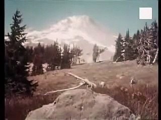 Lassie | show | 1954 | Official Clip