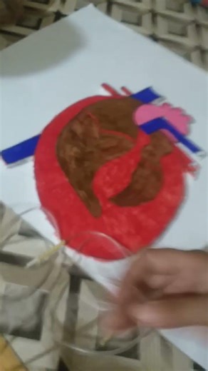 Heart project #how to make science project #heart #2026 #youtubeshorts