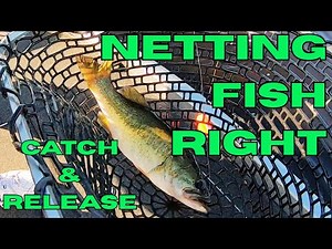 Fish Landing Net Tips | Catch & Release