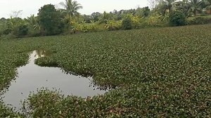 151K views · 737 reactions | FILM SEMI JEPANG ISRTI KU LEBIH SAYANG MERTUA | 18 Indo | Facebook