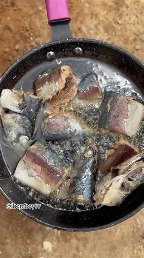 Explore the Innovative Tech Behind Balli Bot Mogis