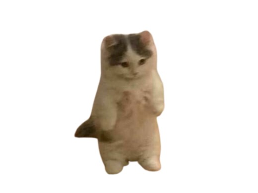 小猫解释什么是e人