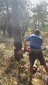 #logging #chainsaw | Patricia Camier Artisan Coiffeur