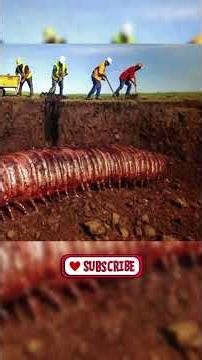 Scientists Just Found a 9‑Foot Millipede Fossil! #archaeology