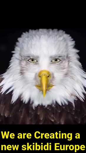 Worst country ever💔🥀 #countries #europe #geo #map #fyp #viralvideo #mapping