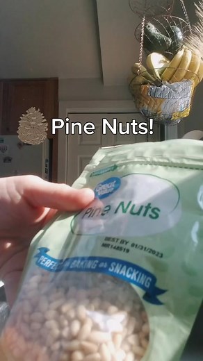 Gertrude Katz Chronicle on TikTok