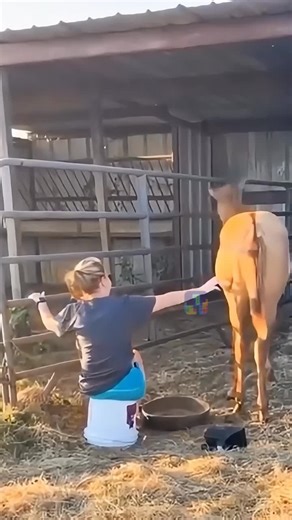 Enjoy daily challenges and rewarding combos—designed for puzzle lovers