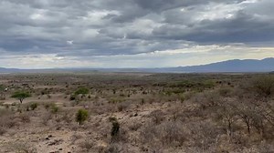 Sometime 2 days ago I wondered far from home, you see I often wonder into the wilderness from time to time to find my balance . It’s a thing from childhood! 😂 Well… it works for me, on most days | Lulu Wilson