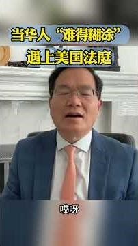 难得胡涂的中华文化在美国法庭？